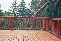 16-Carol Merz deck